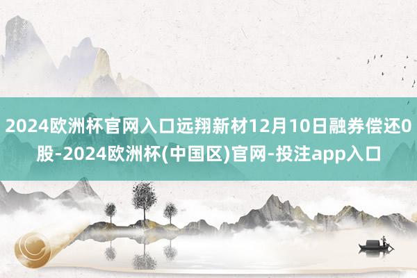 2024欧洲杯官网入口远翔新材12月10日融券偿还0股-20