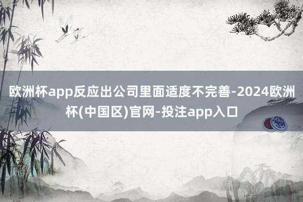 欧洲杯app反应出公司里面适度不完善-2024欧洲杯(中国区)官网-投注app入口