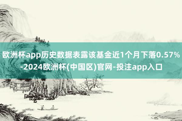 欧洲杯app历史数据表露该基金近1个月下落0.57%-202