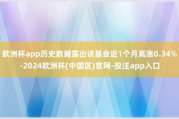 欧洲杯app历史数据露出该基金近1个月高涨0.34%-2024欧洲杯(中国区)官网-投注app入口