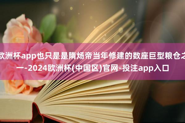 欧洲杯app也只是是隋炀帝当年修建的数座巨型粮仓之一-2024欧洲杯(中国区)官网-投注app入口