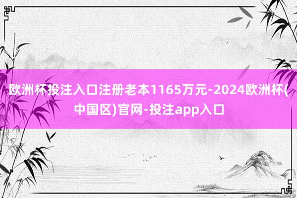 欧洲杯投注入口注册老本1165万元-2024欧洲杯(中国区)